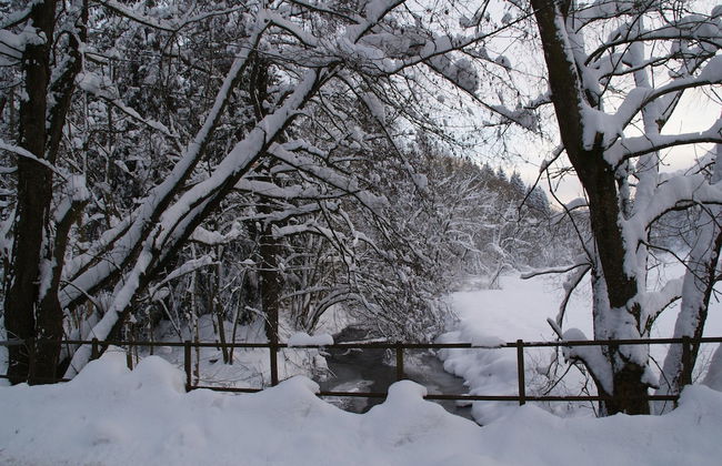 Holiday Home With Garden - Foto 32