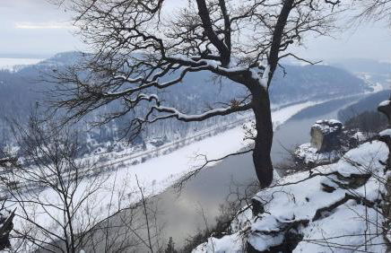 Pirna Altstadtgeflüster - Photo 37