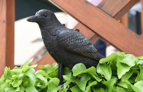 Ferienappartement Balik - Foto 3