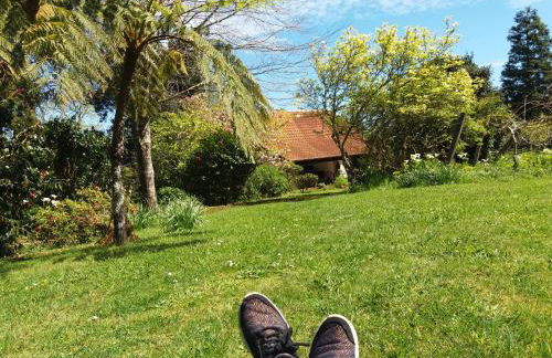 Bio Quinta do Pantano, Agro Turismo - Foto 10