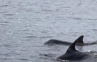 Direct RiverFront Paradise Home - Foto 27