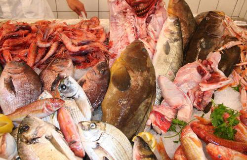 Pajara Rugiada - Foto 52