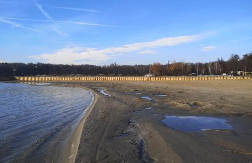 Skorzęcin Przytulny Zakątek - Foto 69
