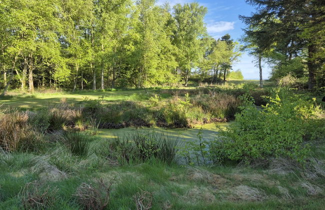 "Aswarth" - 50m to the fjord - Photo 5