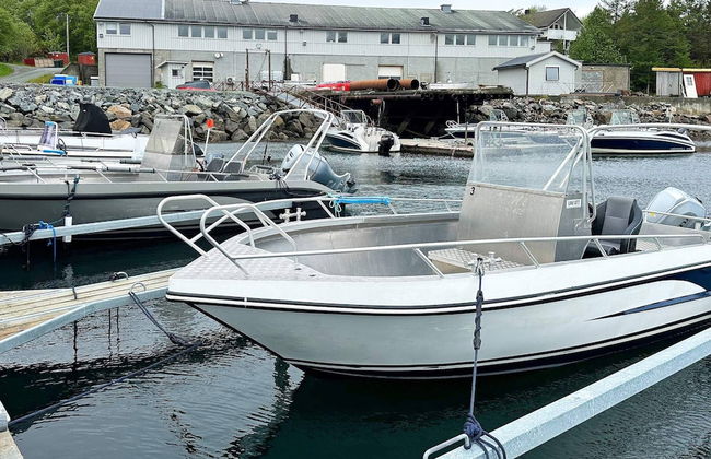 4 Person Holiday Home in Oksvoll - Foto 21