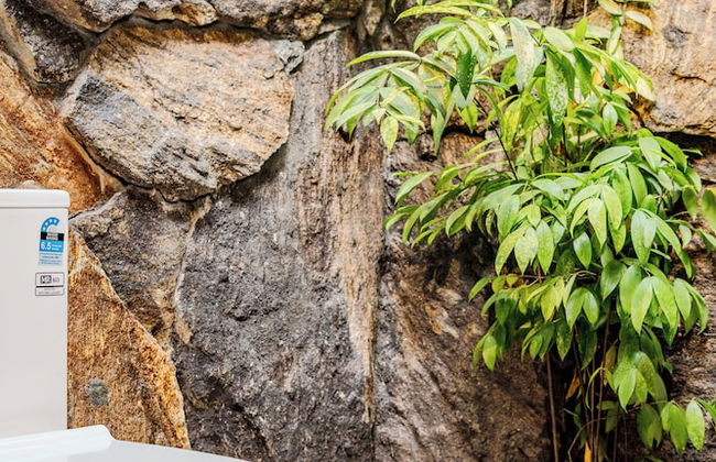 Woodland Sanctuary - Photo 16