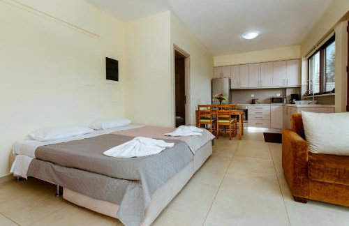 Chania Oasis with heated pool - Foto 18