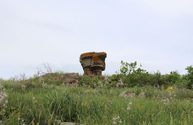 La Tinaia Country House - Photo 44