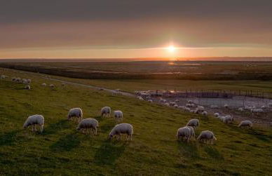 Ferienhaus Weitblick - Photo 40