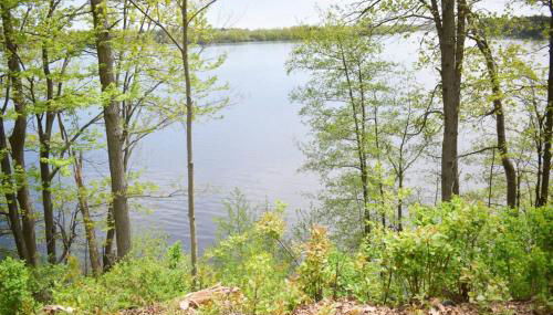 Bliss on the Lake - Foto 3