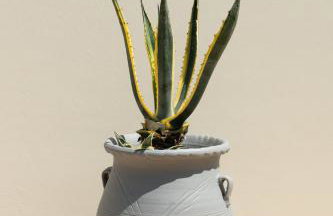 Palamoutaki Villa - Foto 76