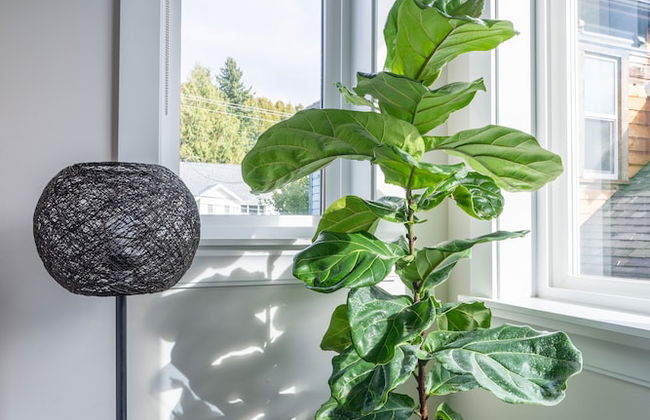 Luxury house with 3 bedrooms and 1 office - Photo 57