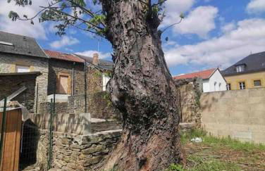 La Cascade verte /Appartement /jardin /parking - Foto 8