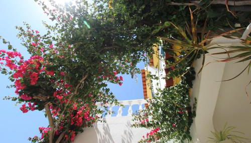 Altura Beach Townhouse - Foto 2, Garden, Garden view