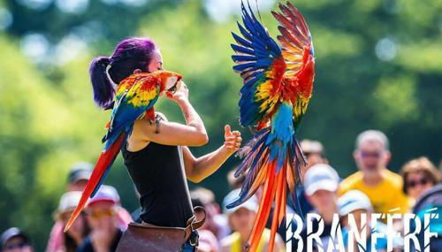 Cocon Breton - Foto 2