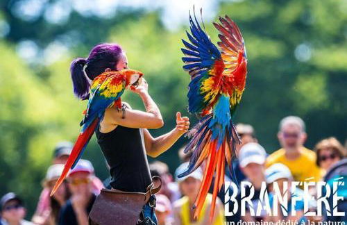 Cocon Breton - Foto 2