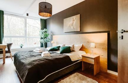 Keller Apart - Kurort Kozubnik K25 - Foto 3