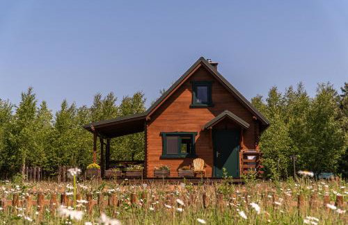 Głuszecki las - Foto 1