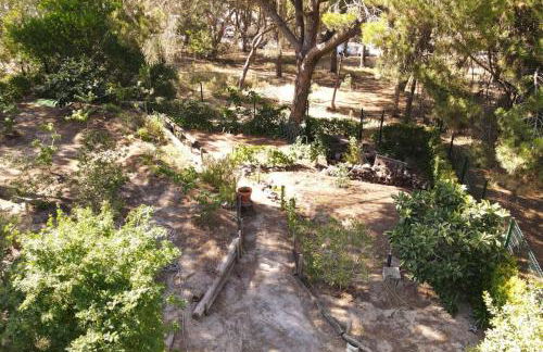 Casa da Lagoa - Foto 6