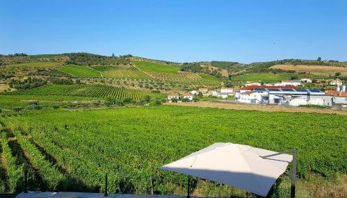 Casa das Lajes - Alojamento Local - Foto 2