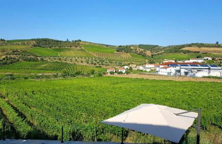 Casa das Lajes - Alojamento Local - Foto 2