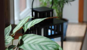 Ferienwohnung An der Gramme - Foto 5