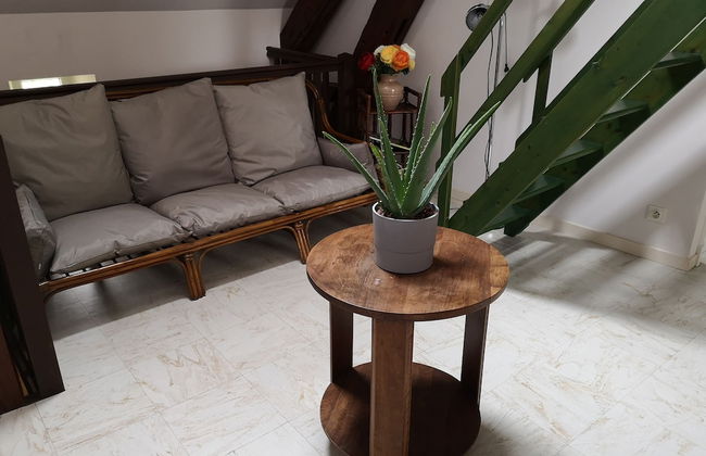 Gîtes LES Fougeres DU LAC - Foto 30