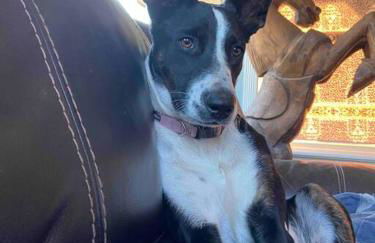 Pacific Coast Hwy Bunkhouse in San Luis Obispo - Foto 57