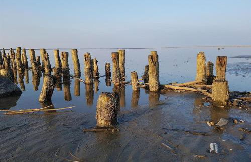 Appartement Sandröschen - Foto 8