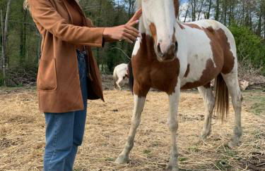 Villa Poggio Di Gaville - Foto 15