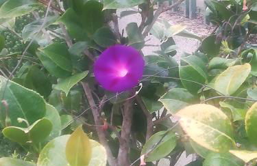 Casa das Argolas - Foto 65