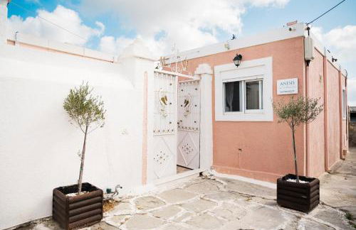 Anesis Traditional Rhodian House - Foto 35