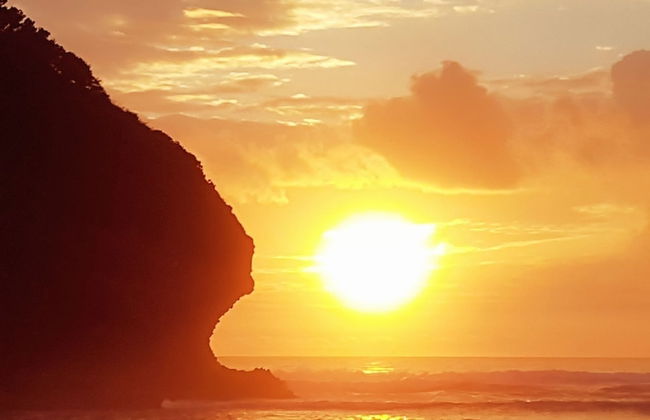 Romantic Piha - Photo 36