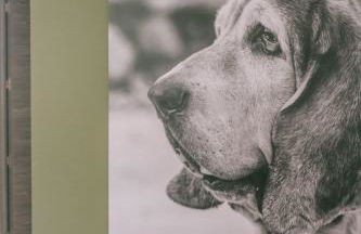 Residence Saletta Casale - Foto 103