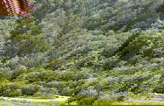 Meydan Şelale Dağ Evi - Foto 47