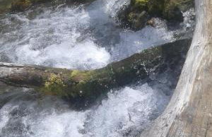 Casa Verde na Chapada Diamantina - Foto 64