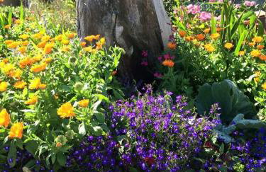 Ocean Drive Deluxe Apartment with complimentary Day Time Beach hut - Foto 70