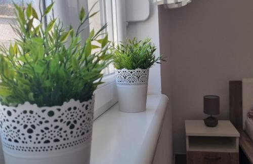Apartmani Mia i Josip - Foto 15