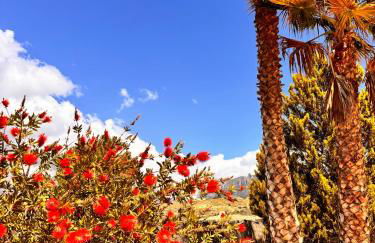 Sport2Relax Guesthouse Cabeço d'Or - Foto 47