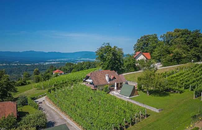 Vineyard Cottage Hocevar With Sauna - Photo 24