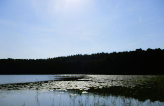 Cottage With a Fenced Garden, Kolczewo - Foto 22