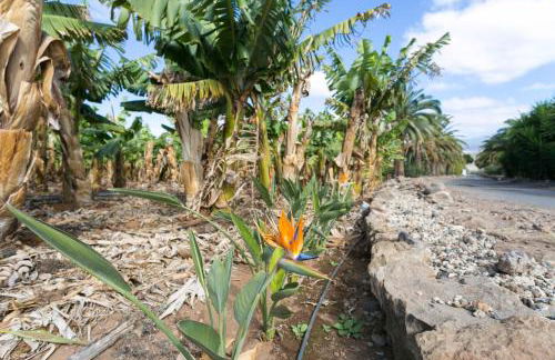 Casa María - Caserío de Guaza - Foto 29