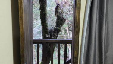 Quarto privativo oasis pousada - Foto 5