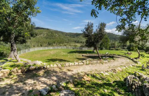 Son Burguet - Foto 30