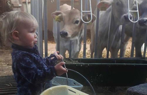 Veiter-Hof - Foto 15