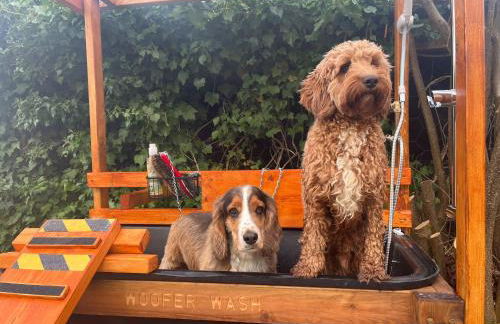 Welsh Cottage - Foto 28