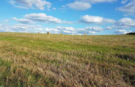 Ferienwohnung Brillant am Nationalpark Hunsrück-Hochwald - Foto 46