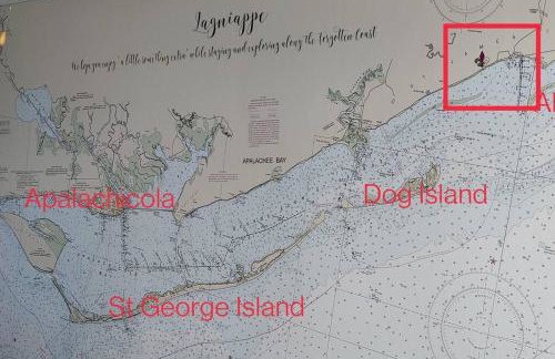 Lagniappe - a little something extra on the Gulf - Foto 49