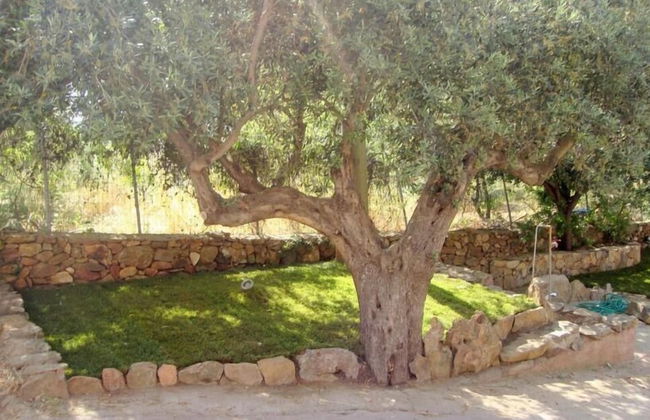 Villa Ludduì L - Foto 36