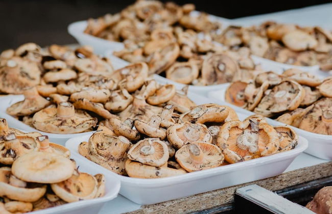 Vila Caelus Masia Boutique - Foto 24